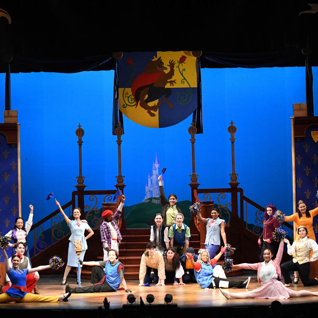 Stage Adaptation of Disney Channel's Descendants Now Available for